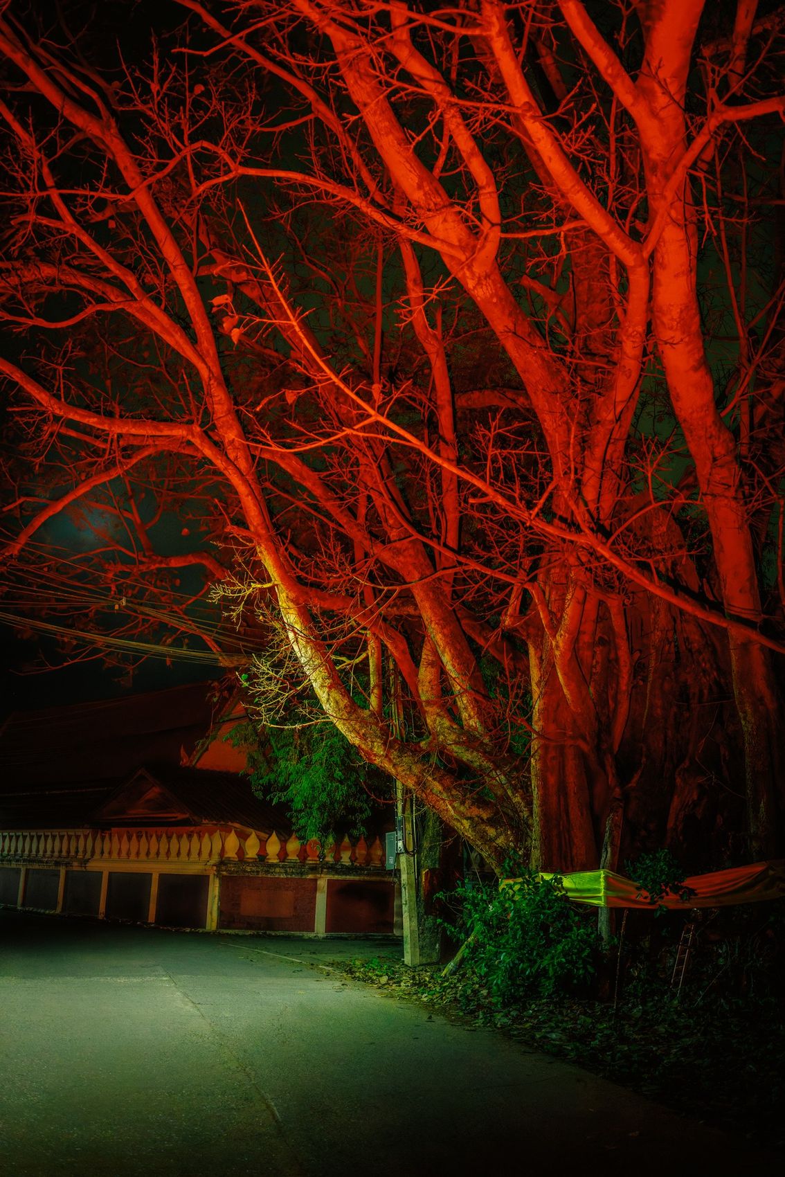 Photographie de la série Dreams Happen After Dark, Etienne Perrone