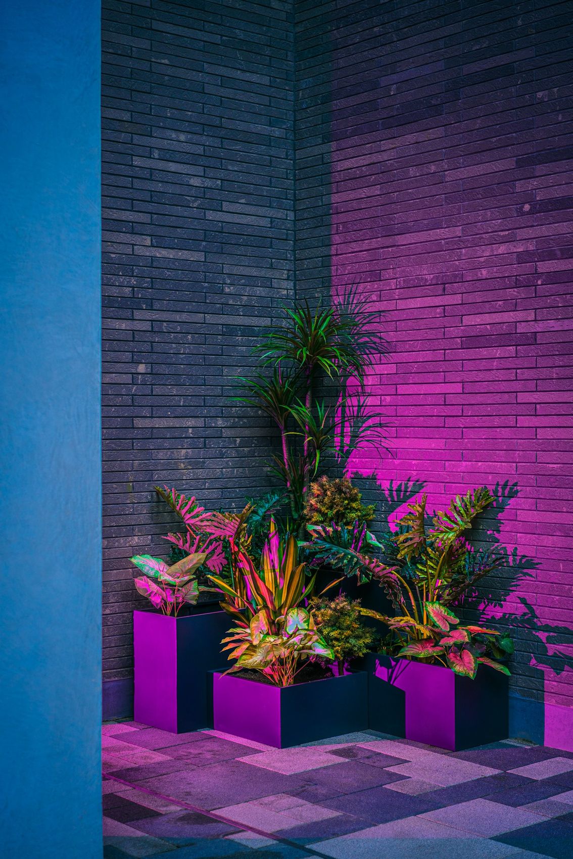 Photographie de la série Dreams Happen After Dark, Etienne Perrone