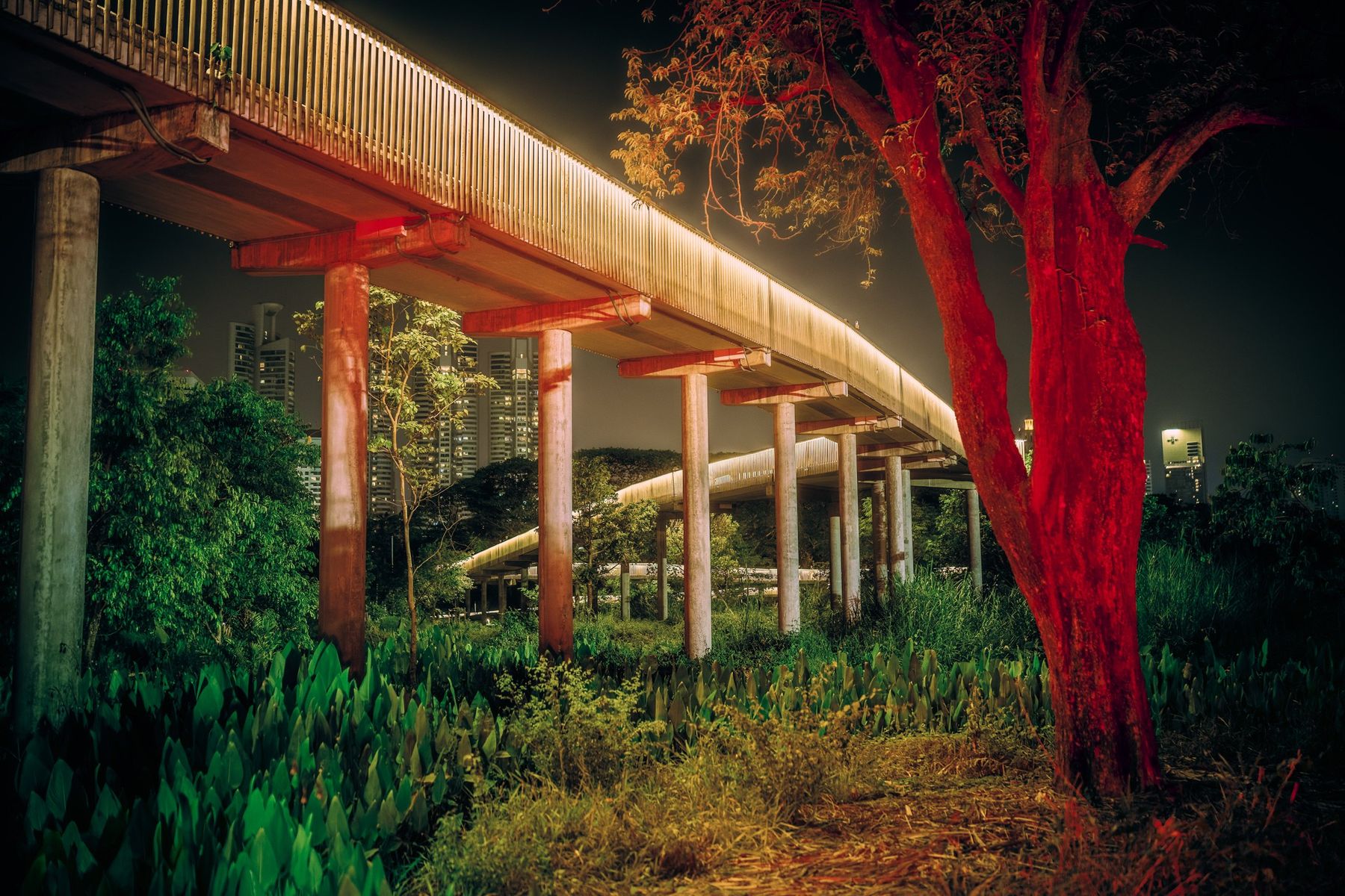 Photographie de la série Dreams Happen After Dark, Etienne Perrone