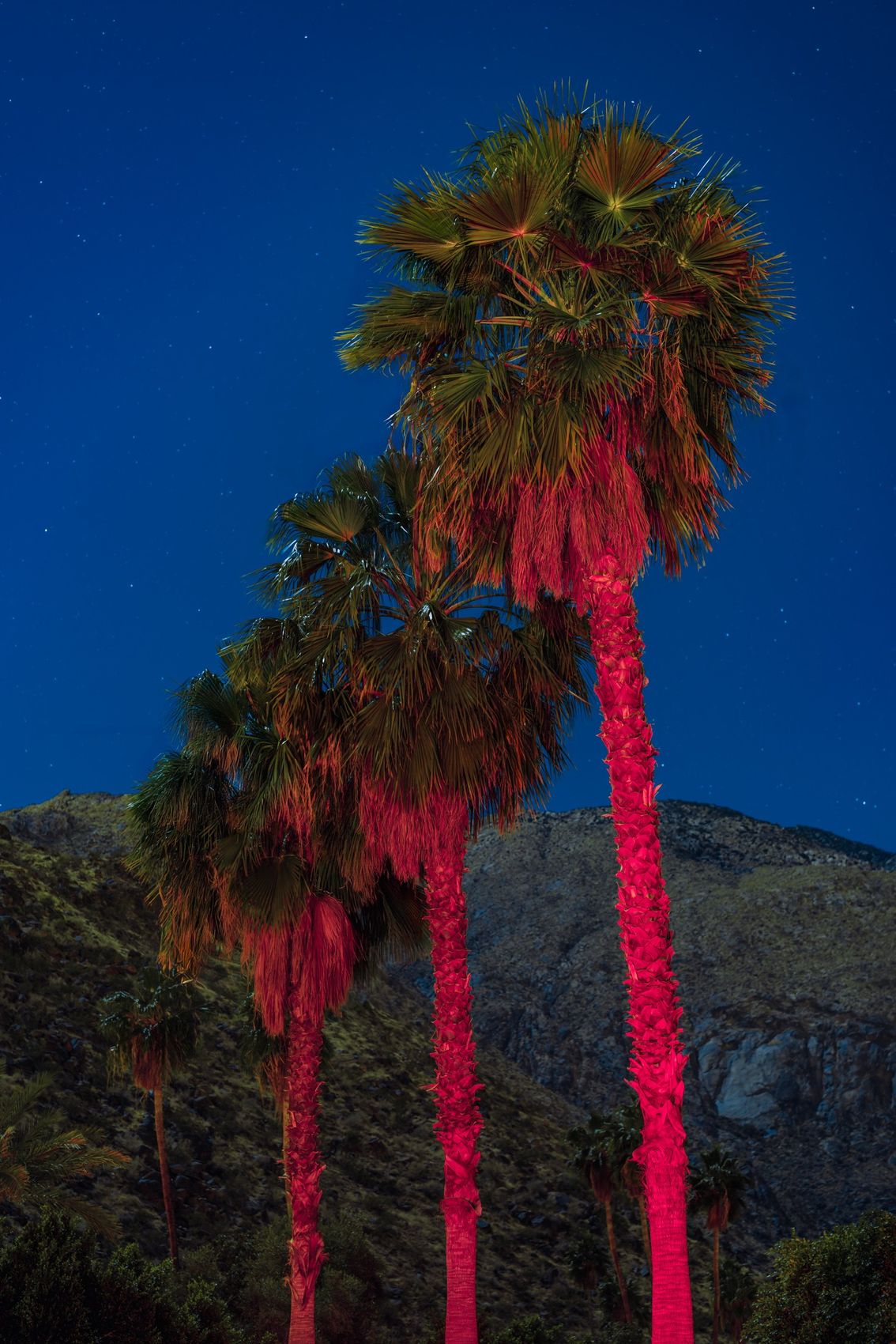 Photographie de la série Dreams Happen After Dark, Etienne Perrone