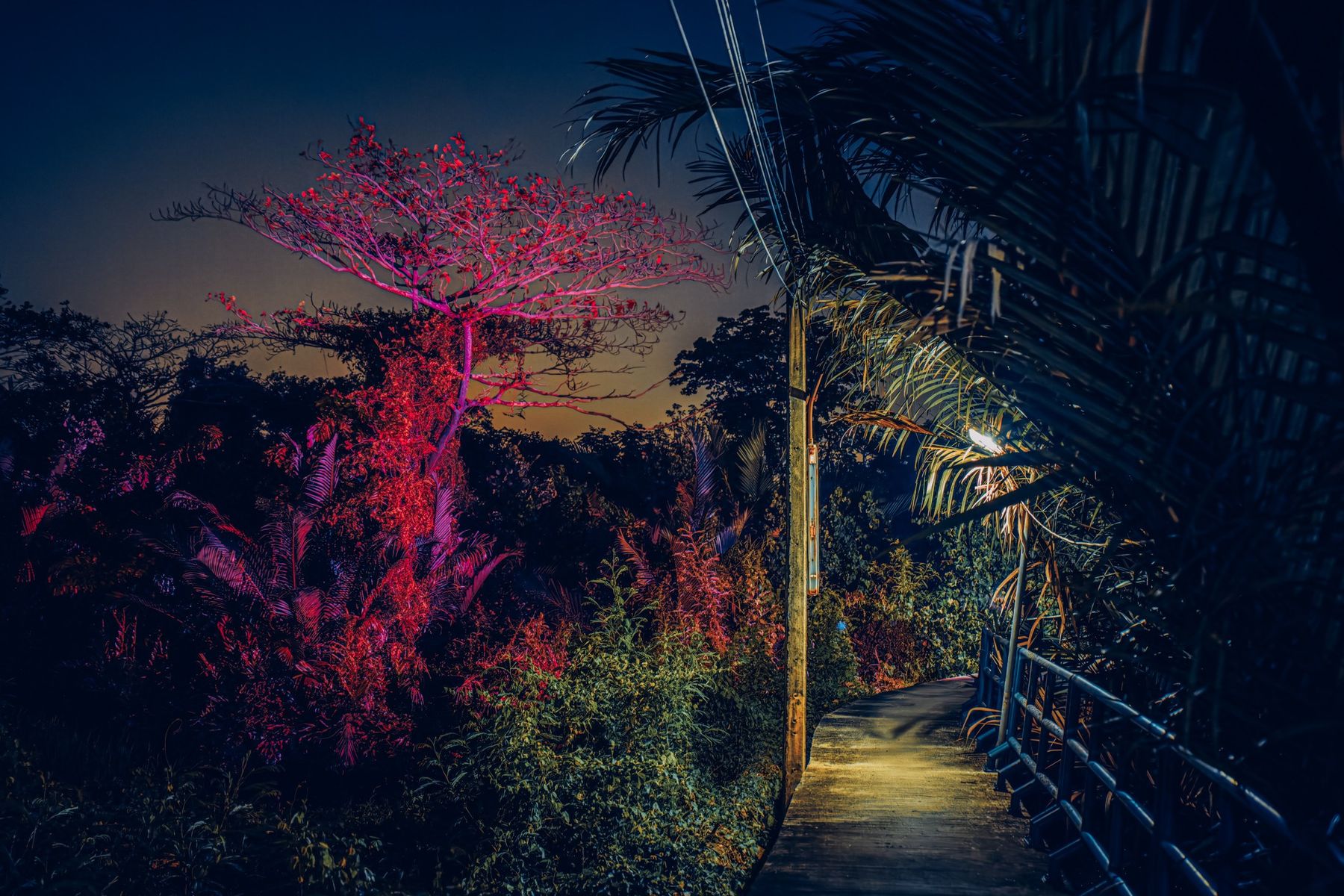 Photographie de la série Dreams Happen After Dark, Etienne Perrone