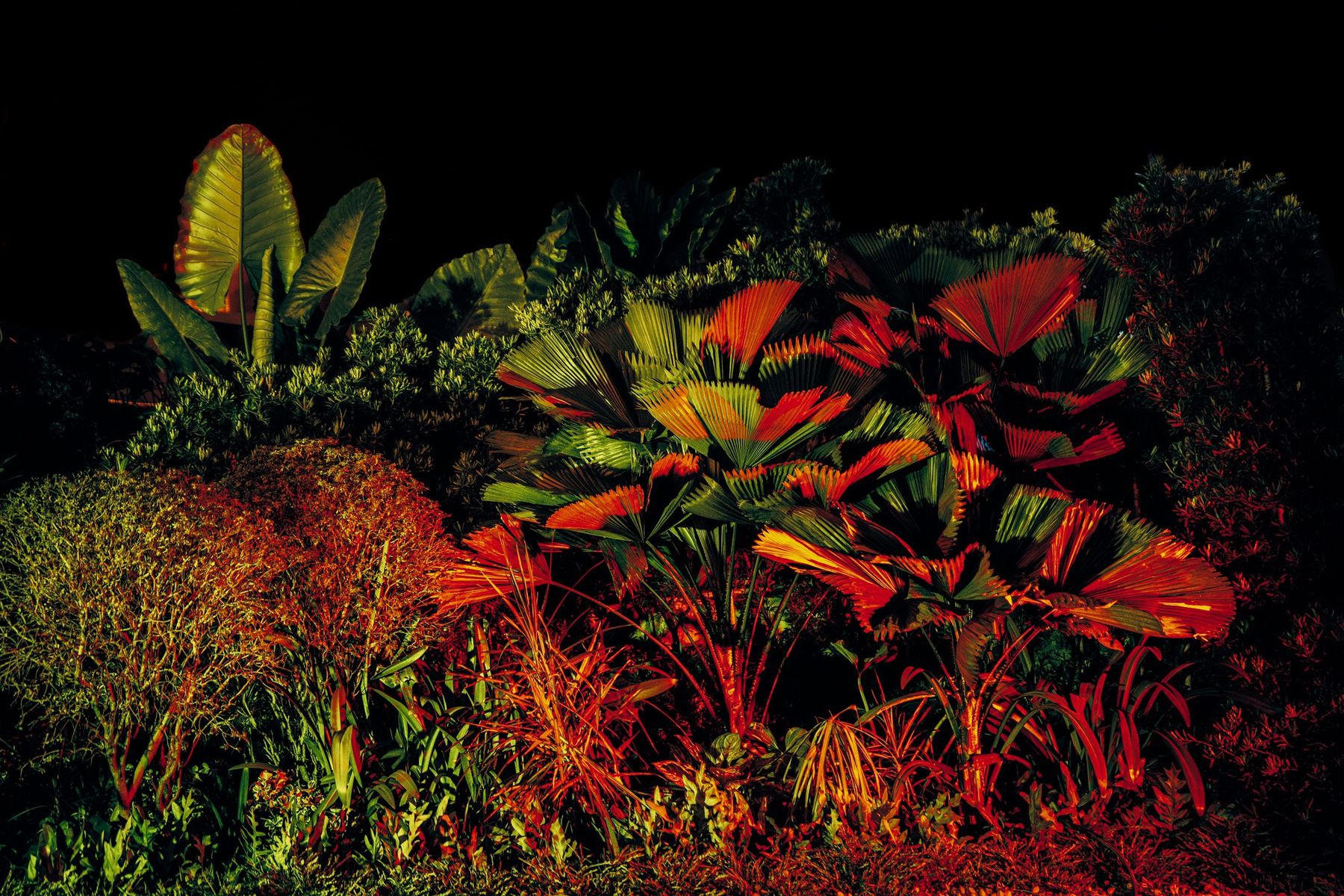 Photographie de la série Dreams Happen After Dark, Etienne Perrone