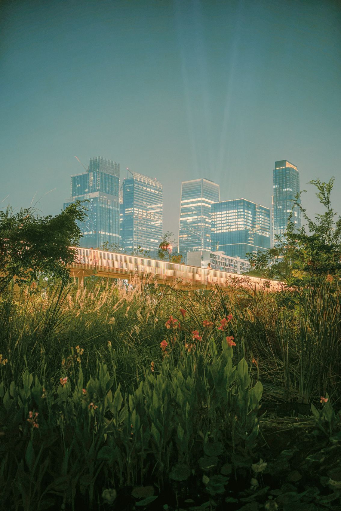 Photographie de la série Dreams Happen After Dark, Etienne Perrone