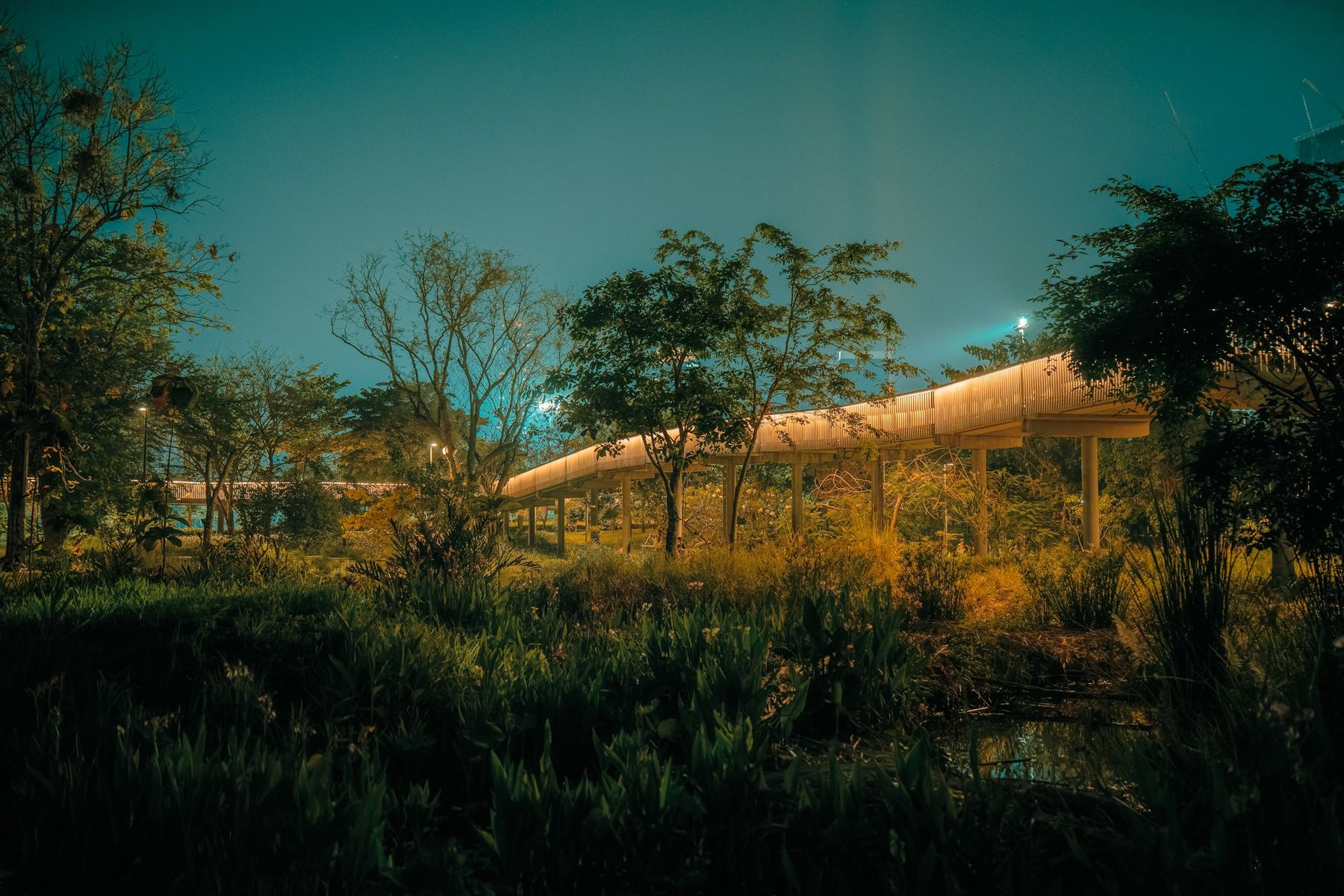 Photographie de la série Dreams Happen After Dark, Etienne Perrone