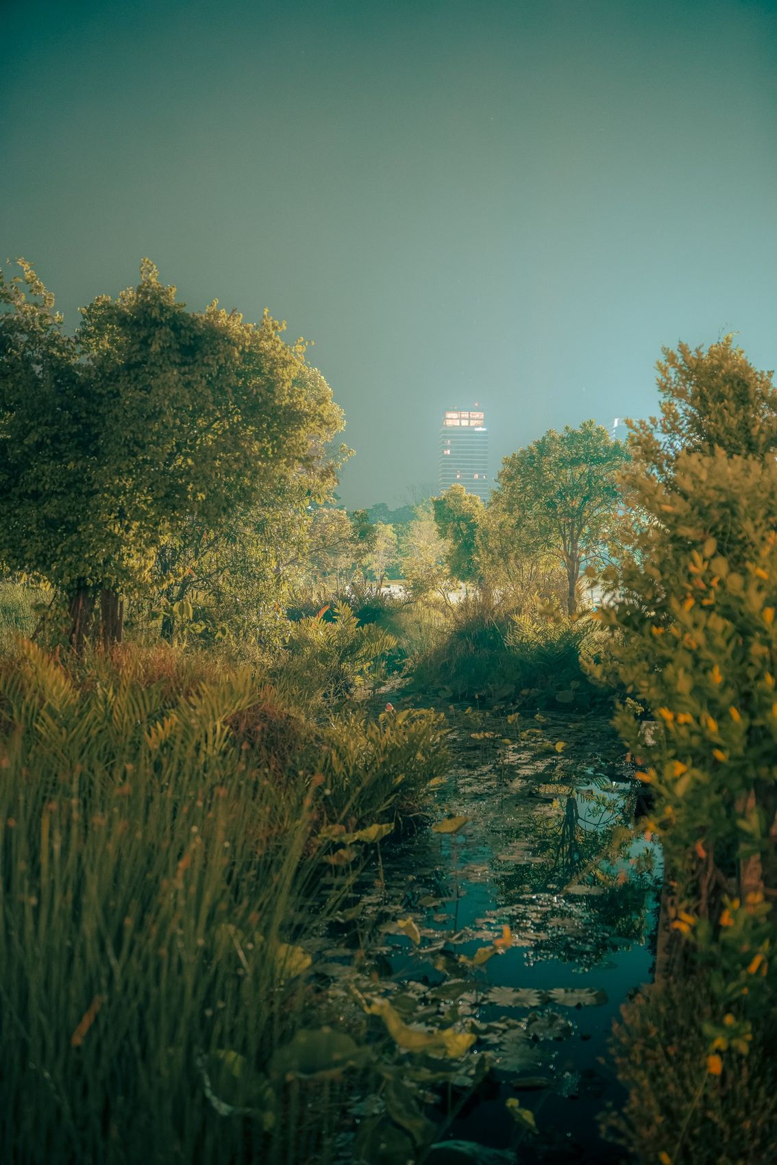 Photographie de la série Dreams Happen After Dark, Etienne Perrone